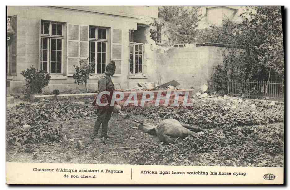 CPA Militaria Chasseur d'Afrique assistant a l'agonie de son cheval