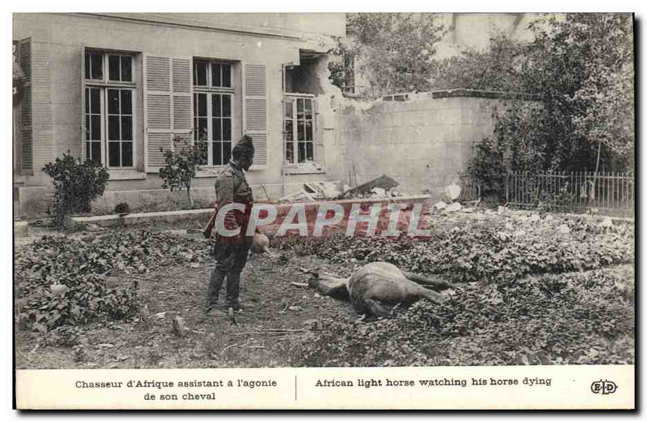 CPA Militaria Chasseur d'Afrique assistant a l'agonie de son cheval