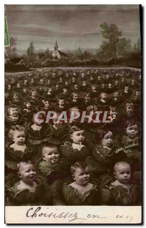 Enfants en robe de chou — Choisissez en moy — Chiche Danberex Paris