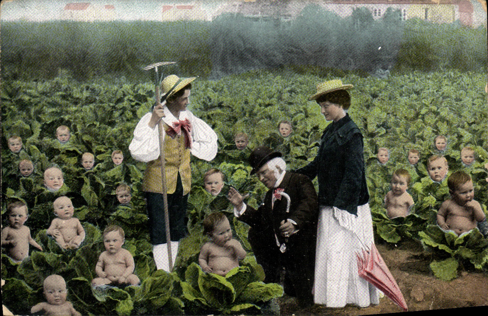 Famille dans un champ de choux — illustration satirique — éditeur inconnu