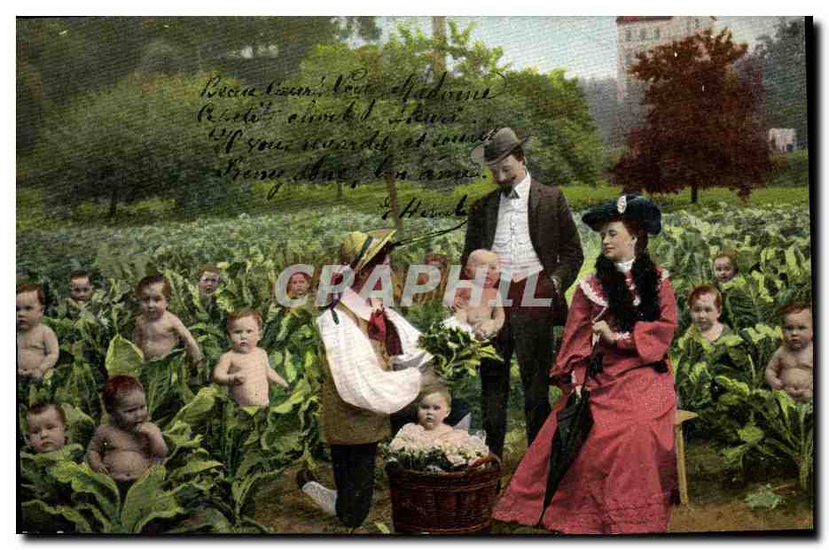 Famille avec enfants dans un jardin — scène humoristique — série 346, éditeur Union postale universelle