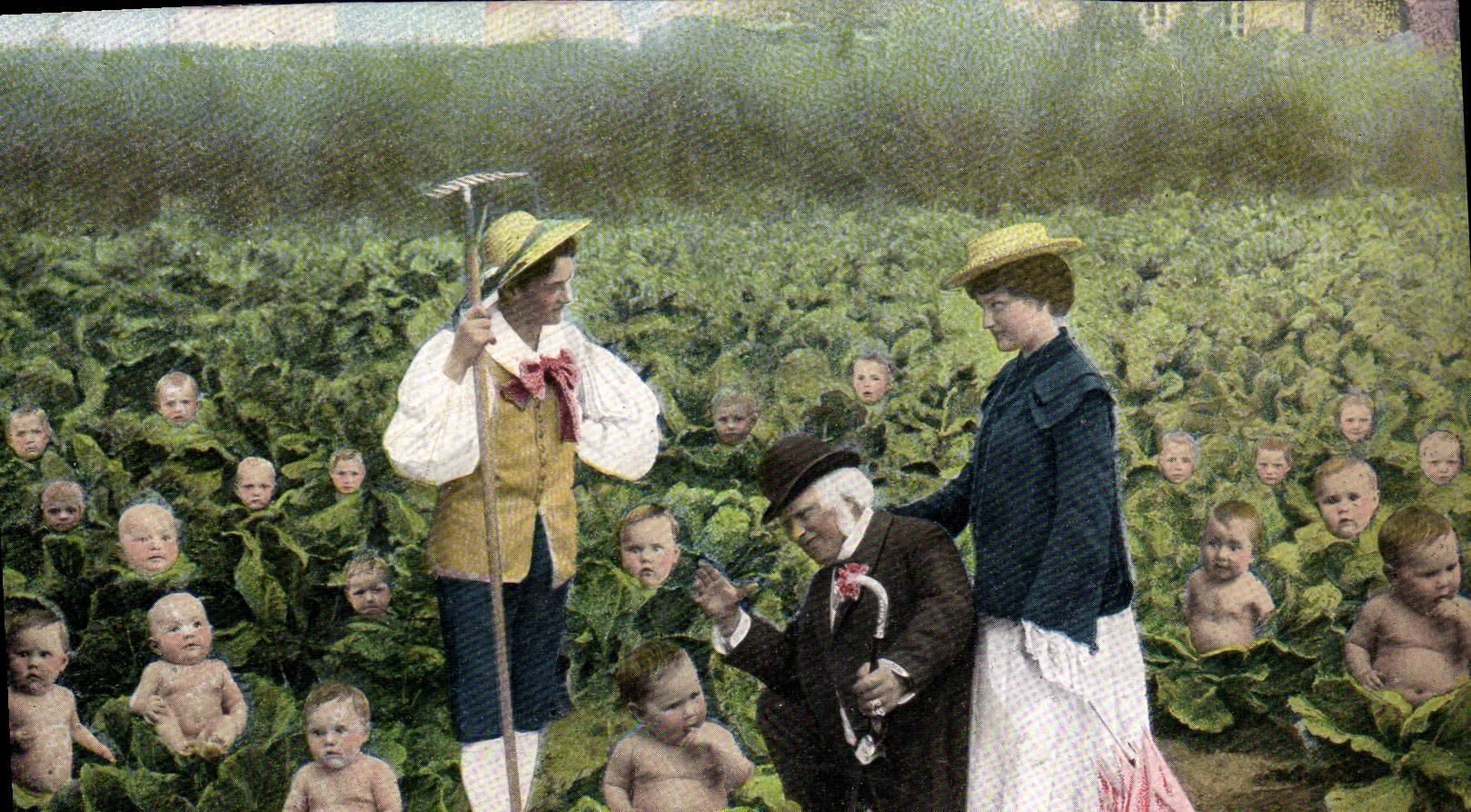 Femmes et homme dans un champ de choux — avec visages d'enfants — éditeur Union postale universelle, série 3546