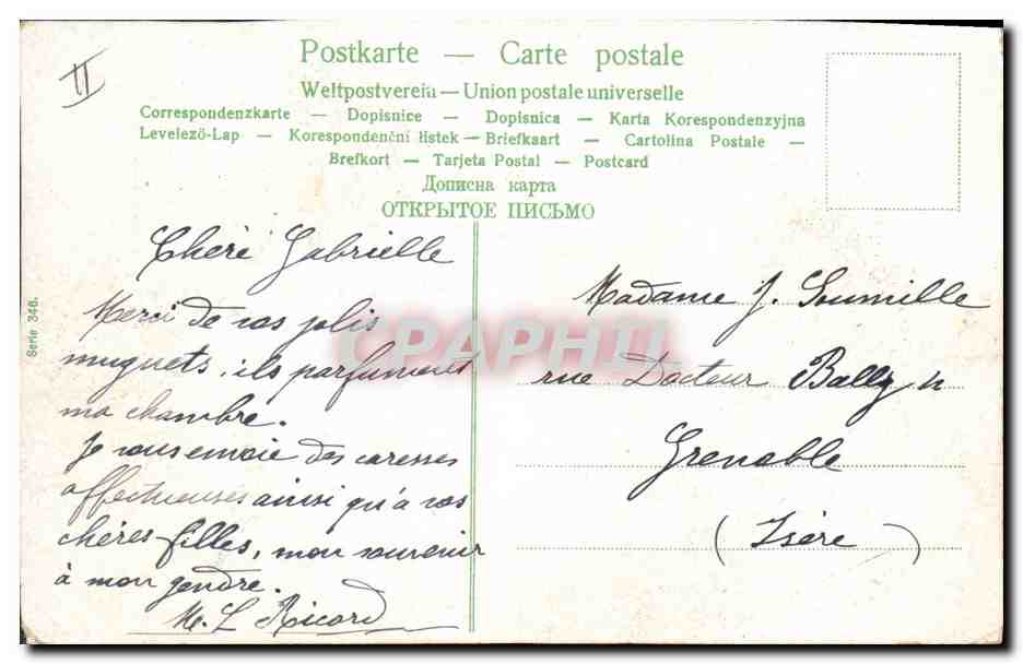 Femmes et homme dans un champ de choux — avec visages d'enfants — éditeur Union postale universelle, série 3546 — Rückseite