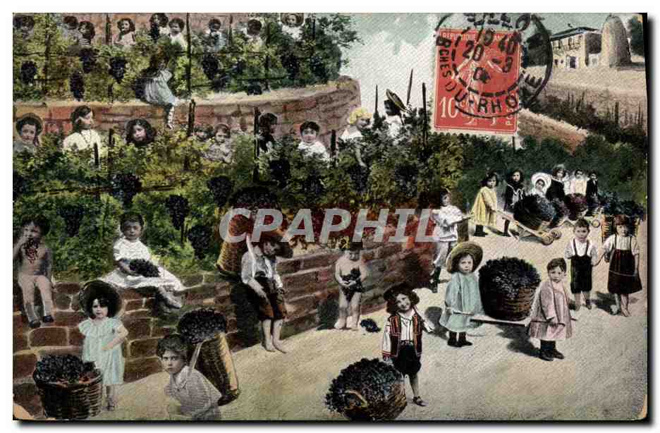 CPA Fantaisie Enfants Bebe Vigne svignoble