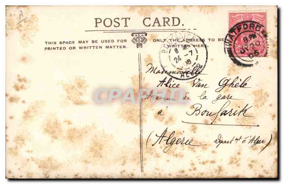 CPA Miss Phyliss Dare  — Verso