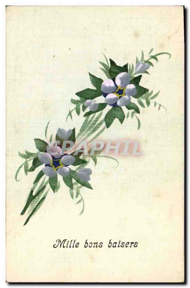 CPA Fantaisie Illustrateur (dessin a la main) Fleurs