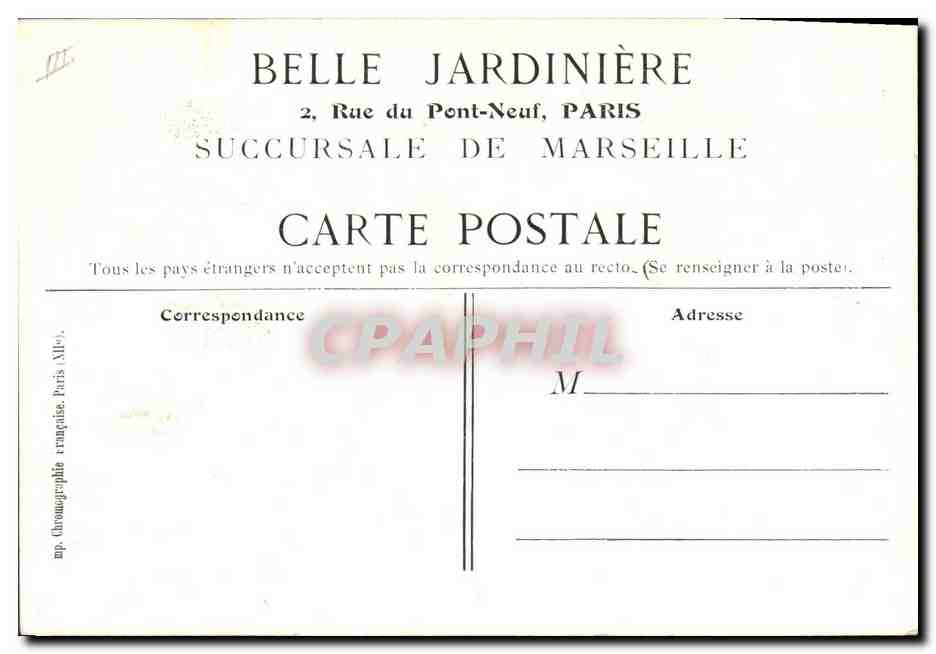 CPA Chat Chats Chaton Belle Jardiniere Succursale de Marseille  — Rückseite