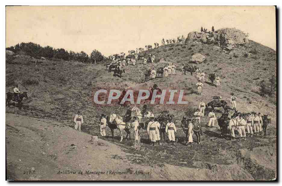Artillerie de Montagne (Régiment d'Afrique) — soldats et chevaux en terrain montagneux — éditeur non identifié, n° 2317