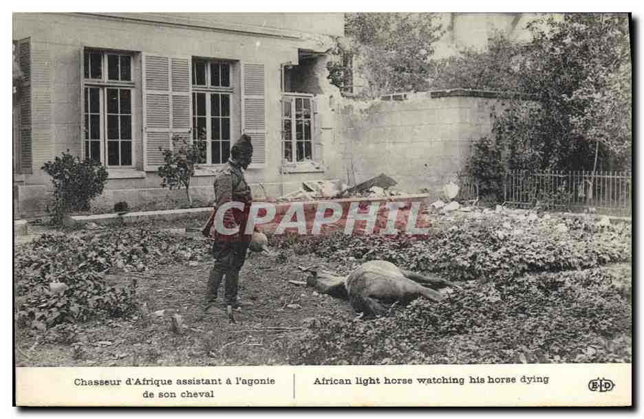 CPA Militaria Chasseur d'Afrique assistant a l'agonie de son cheval 
