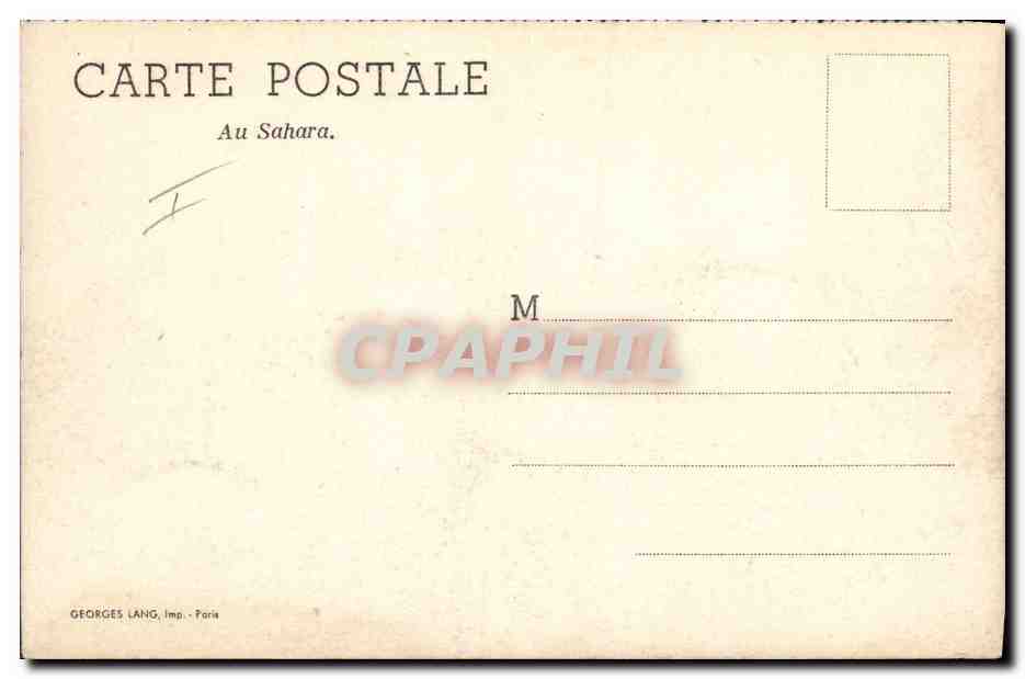 CPA Militaria Au Sahara Chameau Dromadaire  — Rückseite