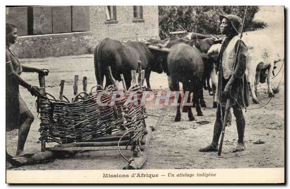 CPA Homme Noir negre Missions d'Afrique Un attelage indigene 
