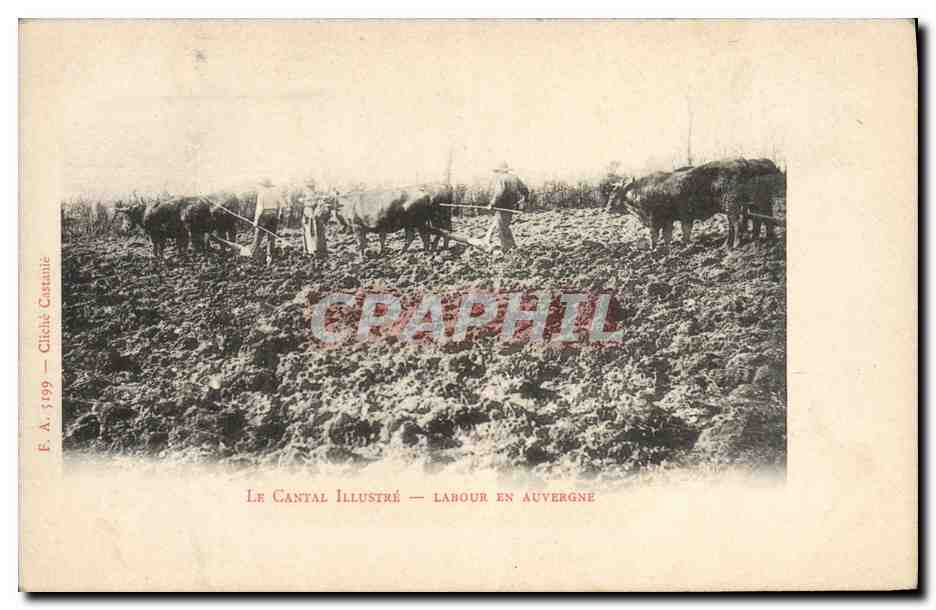 CPA Folklore Cantal Labour en Auvergne 