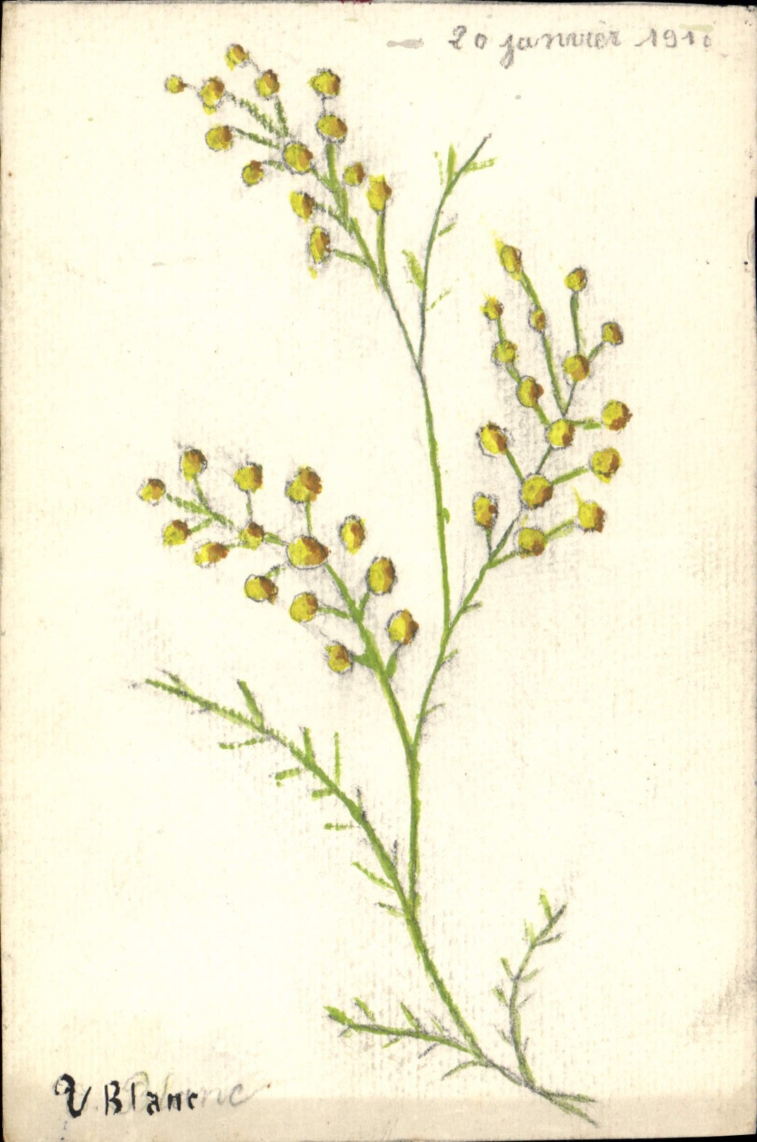 CPA Dessin a la main Fleurs