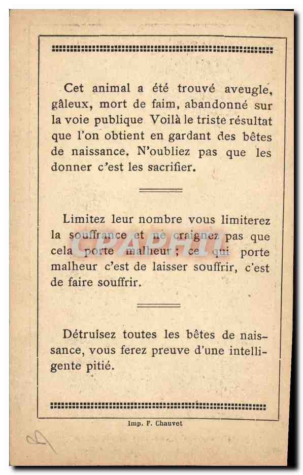 Femme tenant un chat abandonné — Le martyre d'une bête abandonnée — Imp. F. Chauvet — Reverso