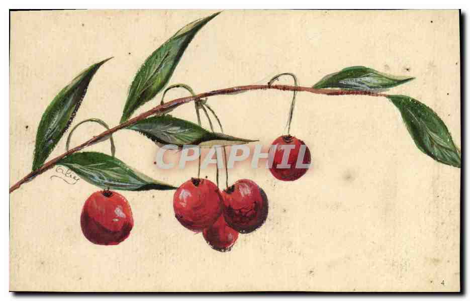 CPA Dessin a la main Cerises