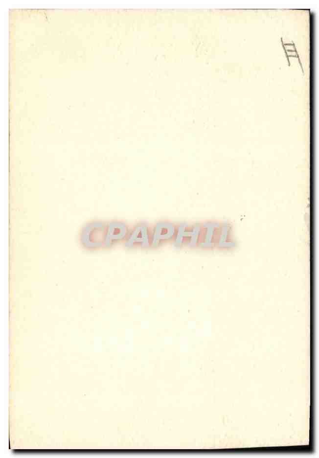 CPA sur papier buvard Dessin a la main fleurs — Rückseite