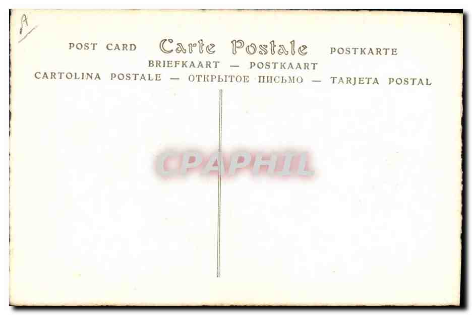 CPA Catherine Parr — Back