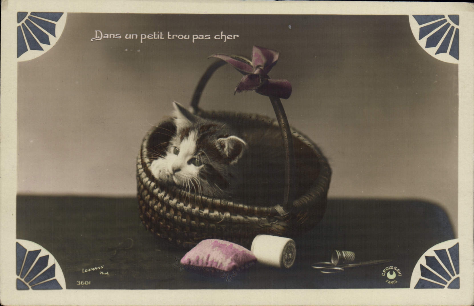 CPA Chat chats Chaton Dans un petit trou pas cher