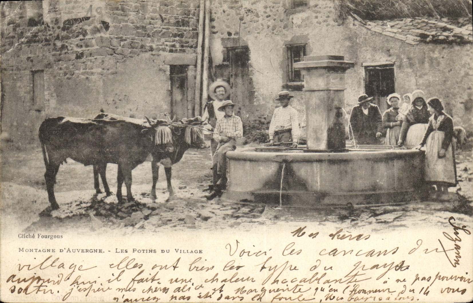 CPA Folklore Montagne d'Auvergne Les potins du village Vaches