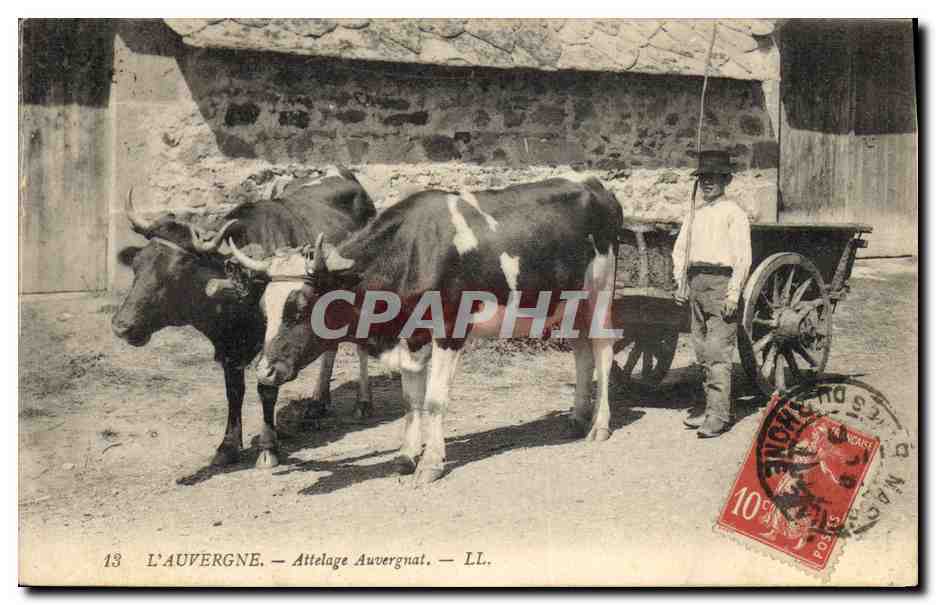 CPA Folklore Auvergne Attelage Auvergnat Enfant