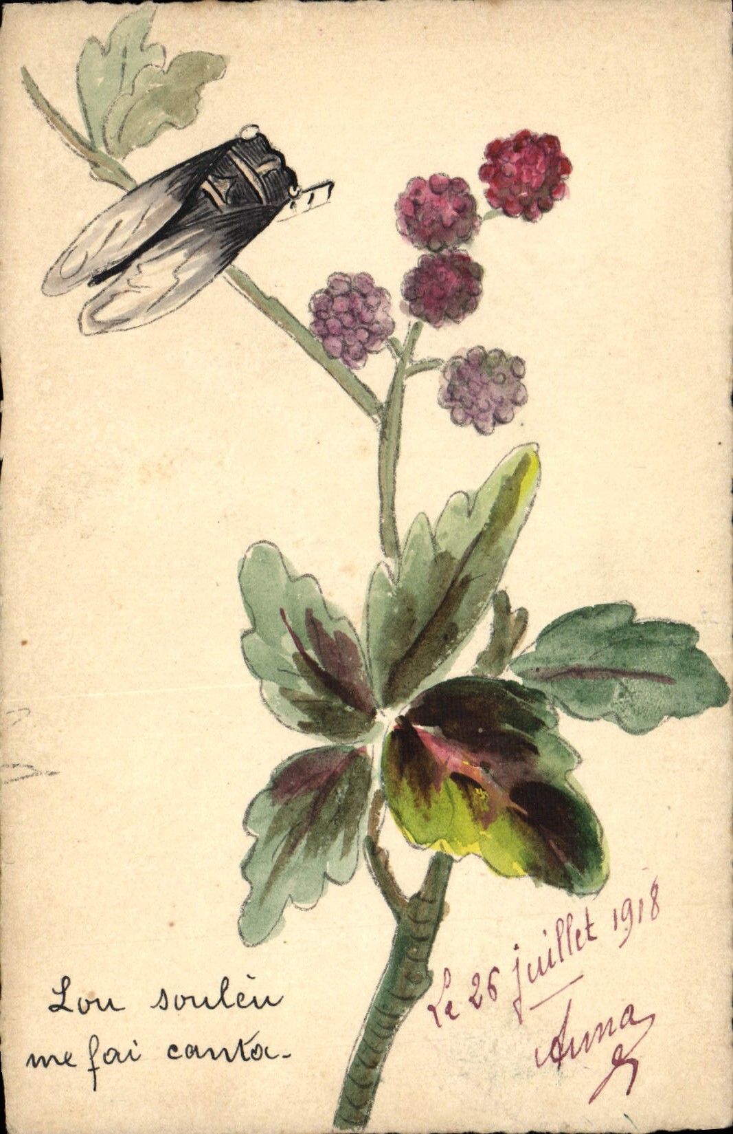 CPA Dessin a la main Fleurs Insecte