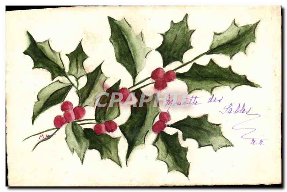 CPA Dessin a la main Fleurs Houx