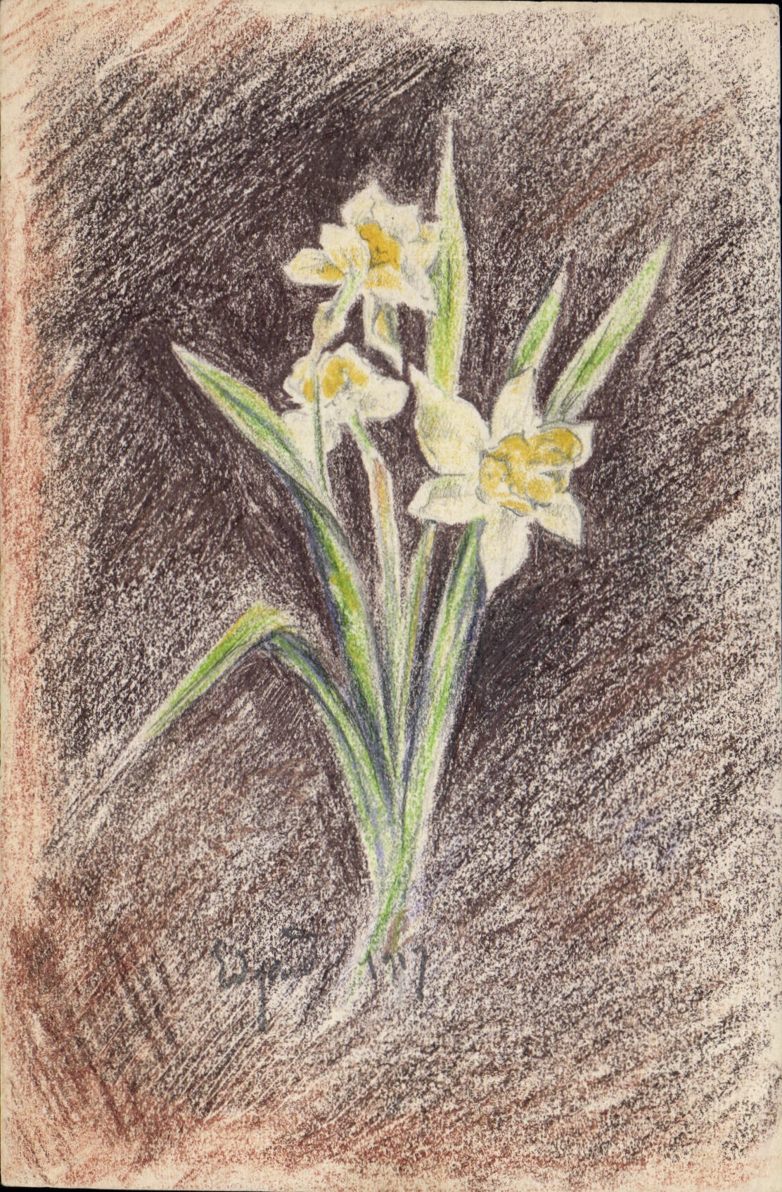 CPA Dessin a la main Fleurs