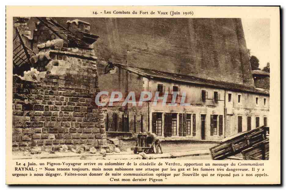 Les Combats du Fort de Vaux (Juin 1916) — Édition Visions de Guerre, n°14