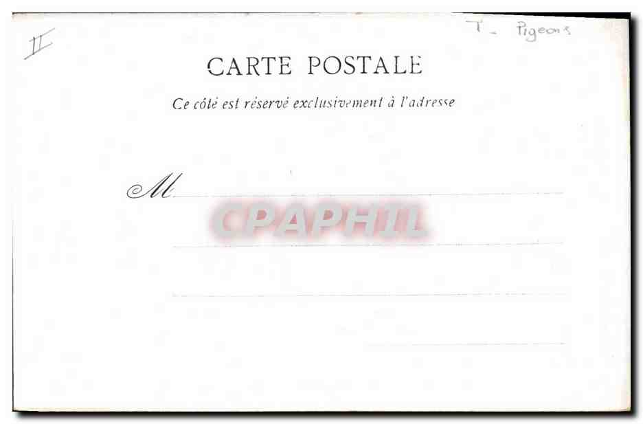 CPA Colombe Colombophilie Langres La fontaine Saint Nicolas et le colombier militaire Militaria — Rückseite