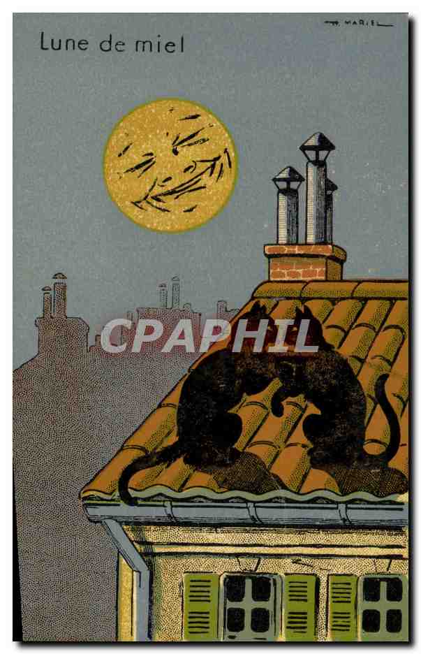CPA Fantaisie Lune Chats lune de miel
