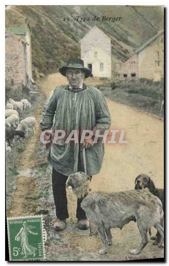 CPA Folklore Type de berger Chiens