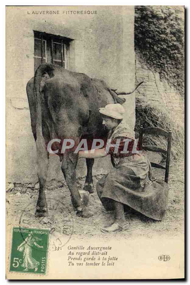 CPA Folklore Auvergne Gentille Auvergnate Vache 
