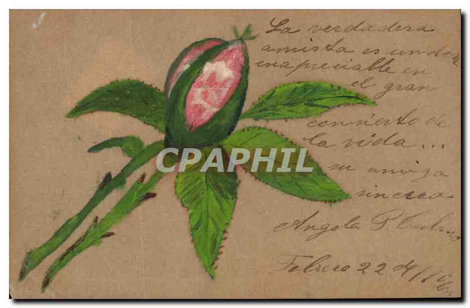 CPA (dessin a la main) Fleurs