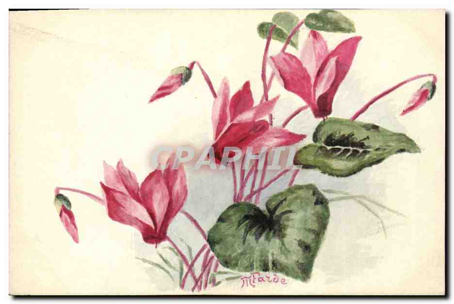 CPA (dessin a la main) Fleurs