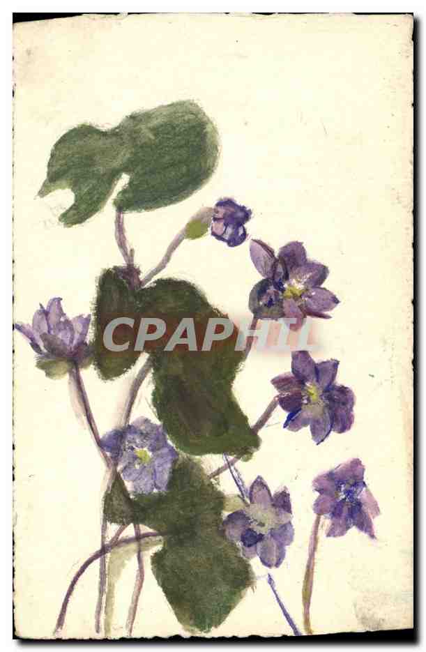 CPA (dessin a la main) Fleurs 