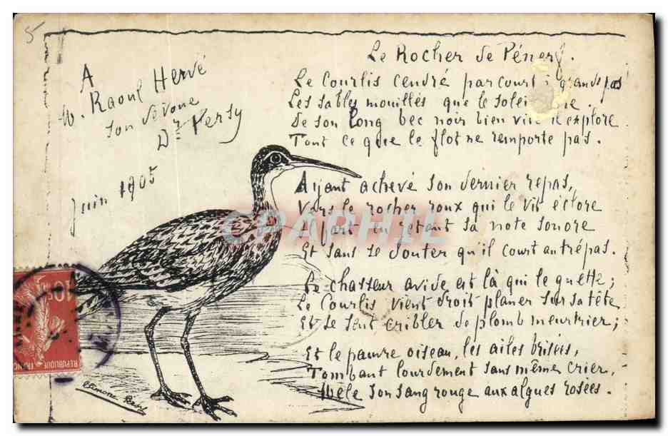 CPA Oiseau 
