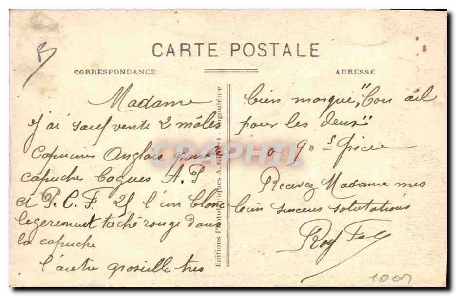 Capucins — 1er prix Paris 1926 — Elevage Amateur Roy F. Lagiberty - Angoulême — Reverso