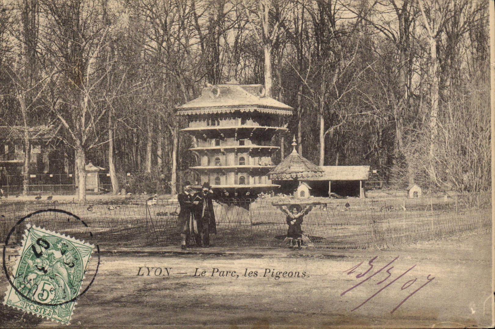 CPA Colombe Colombophilie Lyon Le parc des pigeons