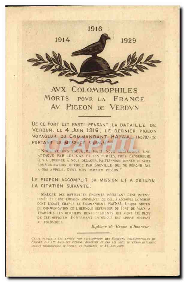 Fort de Verdun — Pigeon voyageur mort pour la France — Société Colombophile de Verdun