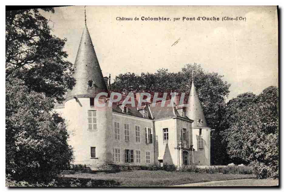 CPA Colombe Colombophilie Chateau de Colombier par Pont d'Oche 