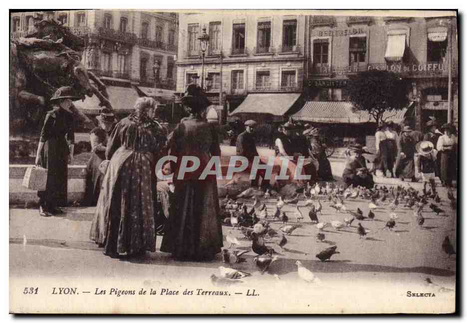 CPA Colombe Colombophilie Lyon Les pigeons de la Place des Terreaux