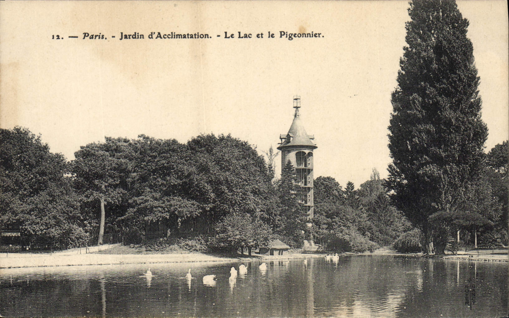 CPA Colombe Colombophilie Paris Jardin d'acclimatation Le Lac et le pigeonnier 
