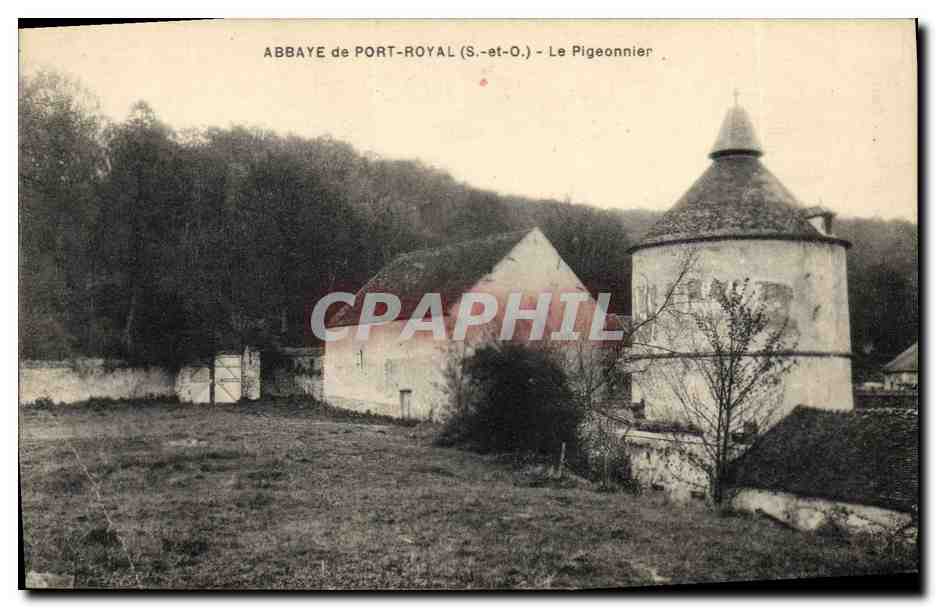 CPA Colombe Colombophilie Abbaye de Port Royal Le pigeonnier 