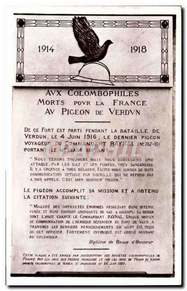 CPA Colombe Colombophilie aux colombophiles morts pour la France Verdun