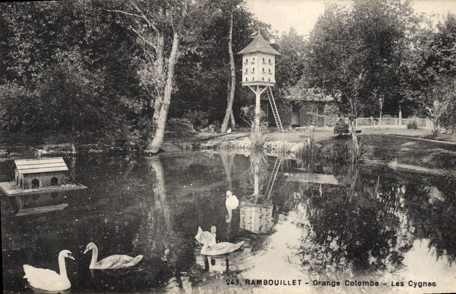 CPA Colombe Colombophilie Rambouillet Grange colombe Les cygnes 