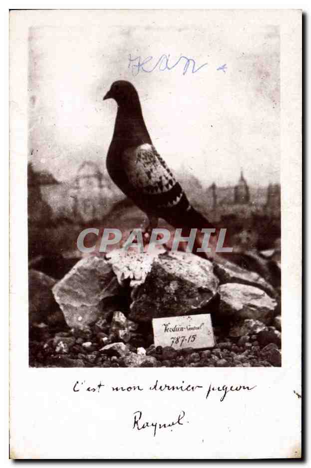 CPA Colombe Colombophilie Colombogramme du commandant Raynal Militaria