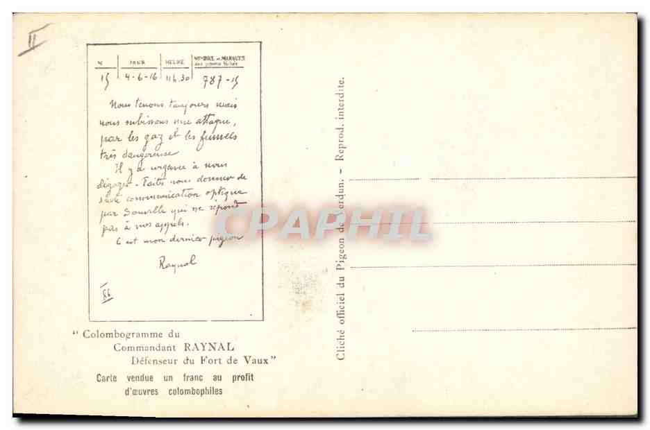 Pigeon — 'C'est mon dernier pigeon' — Raynal, éditeur Térdin-Central, n° 787-15 — Reverso