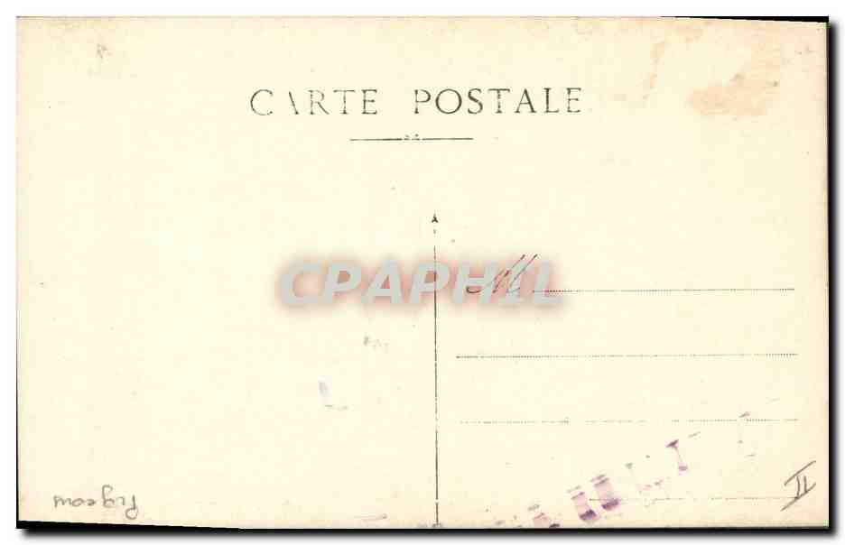 CARTE PHOTO Colombe Colombophilie Enfant Pigeons — Rückseite