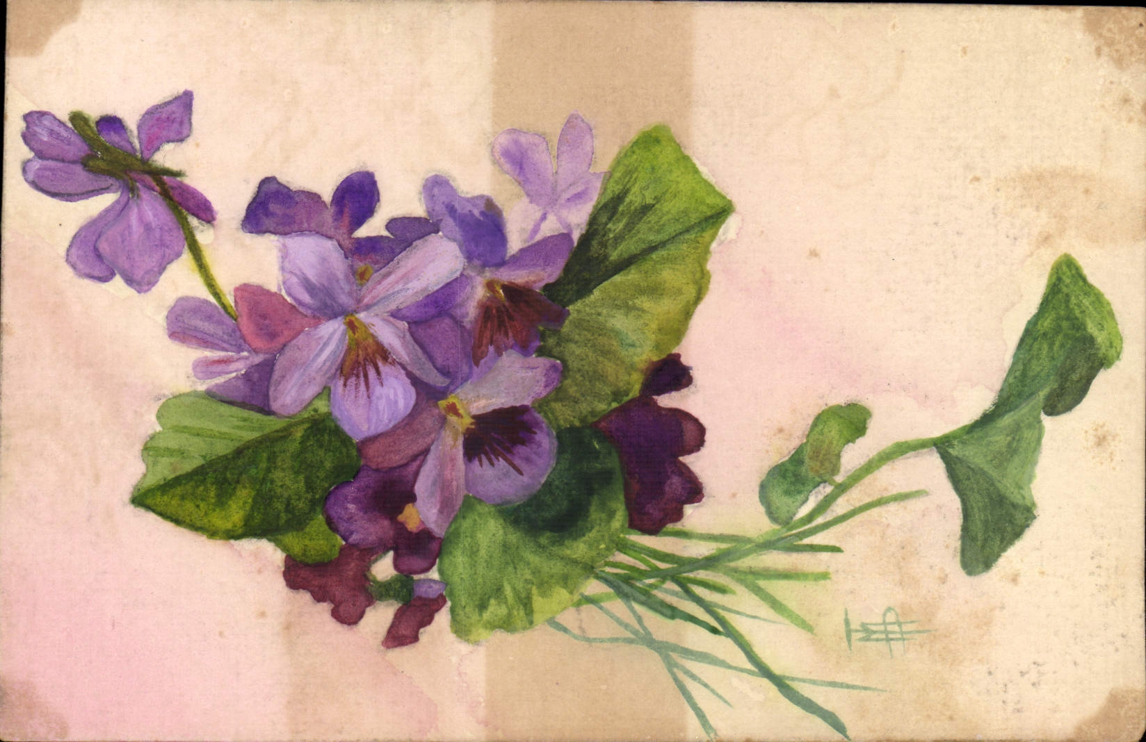 Fleurs de violette — peinture à l'aquarelle — signée 'H.F.' — série III - Anverso
