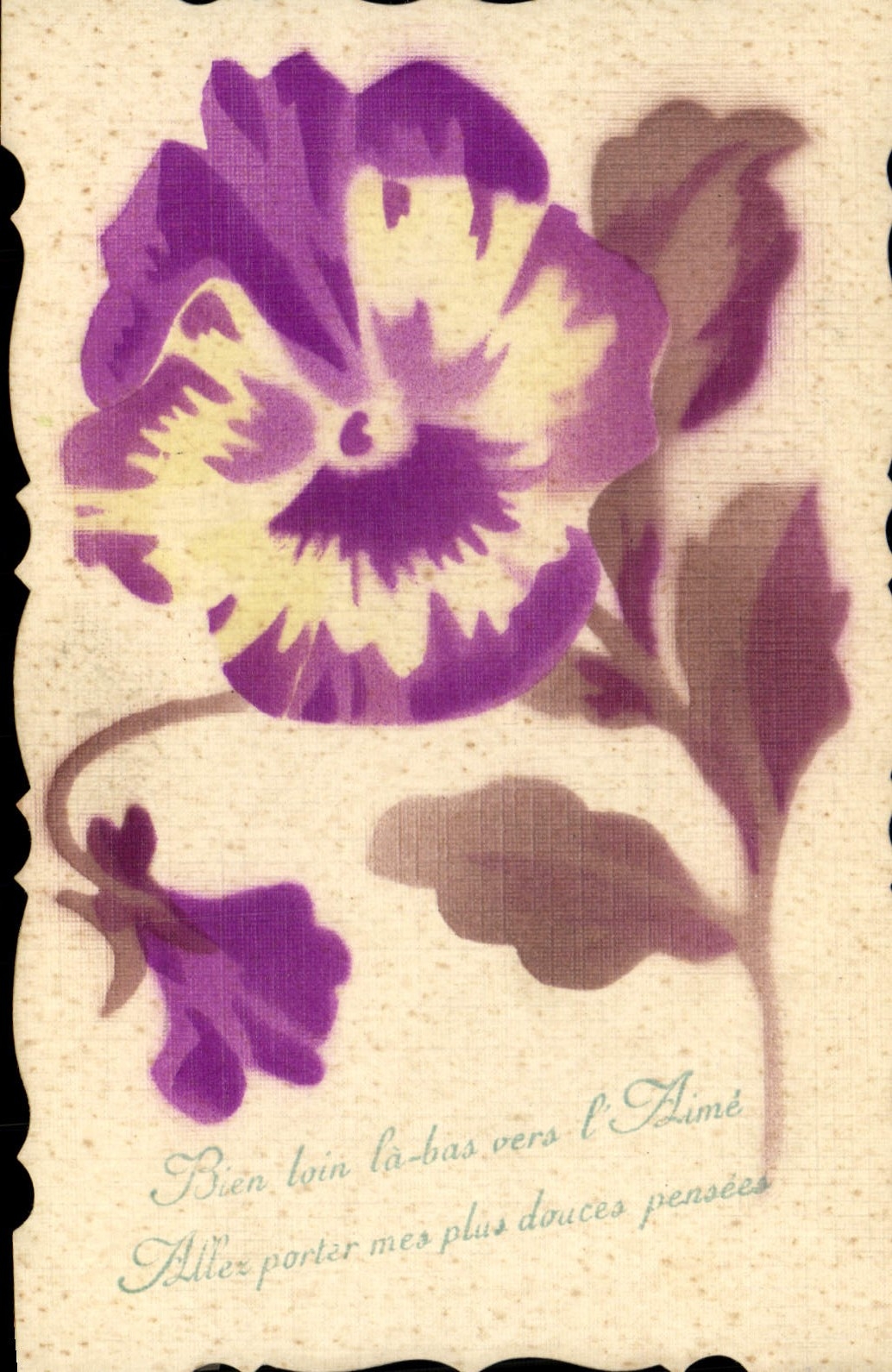 Fleur violette — carte postale sentimentale — éditeur non visible